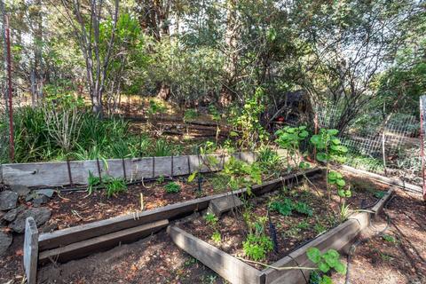 123 Cornelia Ave, Mill Valley, CA 94941 photo 9