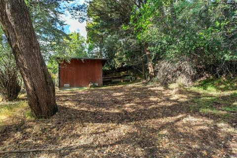 123 Cornelia Ave, Mill Valley, CA 94941 photo 4
