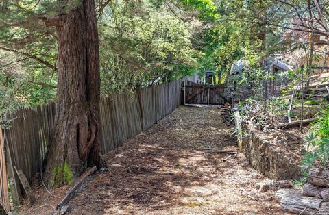 123 Cornelia Ave, Mill Valley, CA 94941 photo 2