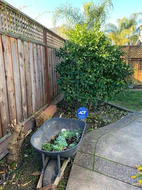 7657 Baldocchi Way, Windsor, CA 95492 photo 28