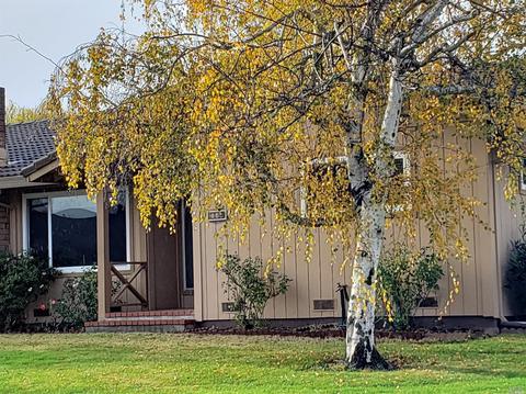 141 Vineyard Cir, Sonoma, CA 95476 photo 29