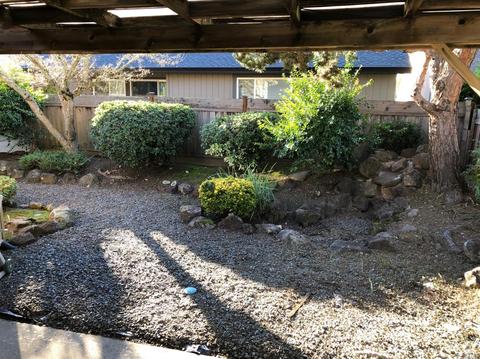 249 Prune Tree Dr, Healdsburg, CA 95448 photo 23