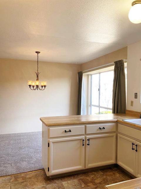 249 Prune Tree Dr, Healdsburg, CA 95448 photo 4