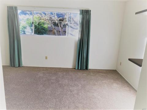 249 Prune Tree Dr, Healdsburg, CA 95448 photo 13