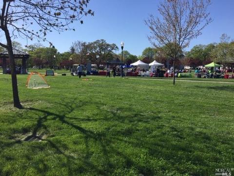 9113 Benny Goodman Way, Windsor, CA 95492 photo 20