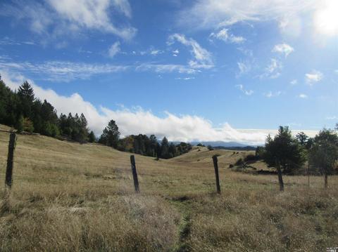 35501 Eureka Stagecoach Rd, Willits, CA 95490 photo 6