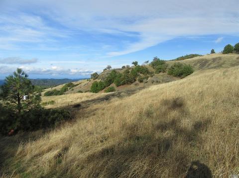 35501 Eureka Stagecoach Rd, Willits, CA 95490 photo 5