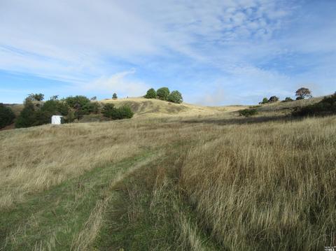 35501 Eureka Stagecoach Rd, Willits, CA 95490 photo 3