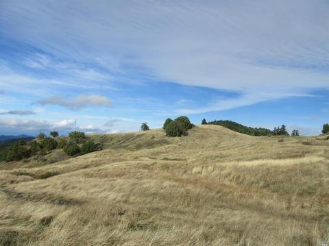 35501 Eureka Stagecoach Rd, Willits, CA 95490 photo 7