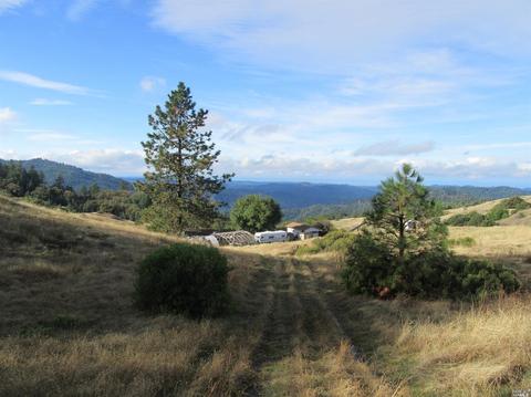 35501 Eureka Stagecoach Rd, Willits, CA 95490 photo 4