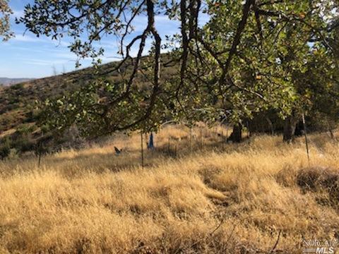 25778 Jerusalem Grade Rd, Middletown, CA 95461 photo 9