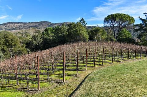 4268 E 3rd Ave, Napa, CA 94558 photo 3