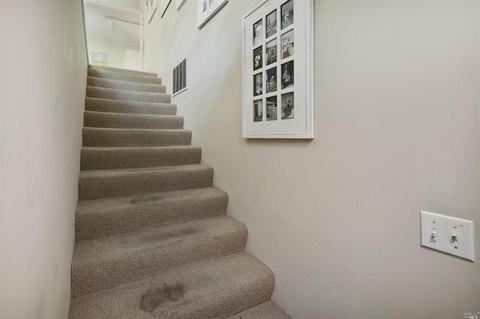 14 Renz Rd, Mill Valley, CA 94941 photo 32