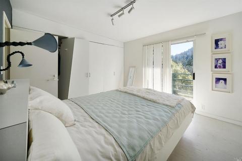 14 Renz Rd, Mill Valley, CA 94941 photo 20