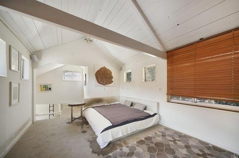 14 Renz Rd, Mill Valley, CA 94941 photo 37