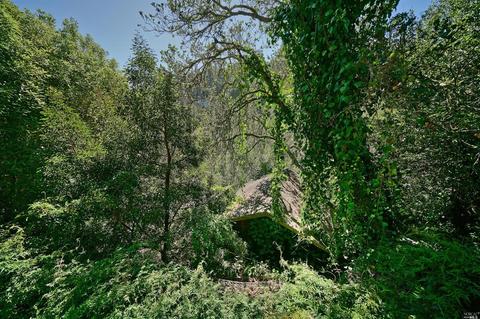 14 Renz Rd, Mill Valley, CA 94941 photo 47
