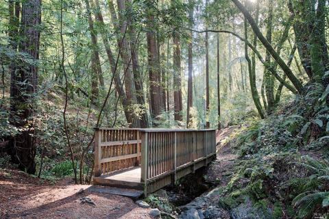 67 A Lovell Ave, Mill Valley, CA 94941 photo 22