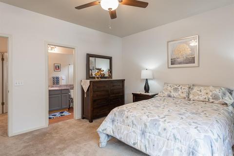 856 Patti Page Ct, Windsor, CA 95492 photo 18