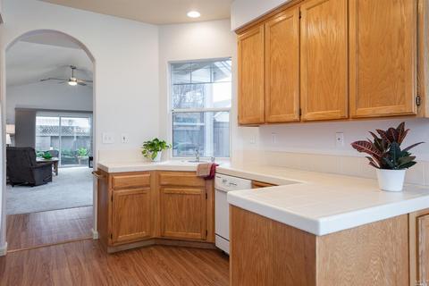 856 Patti Page Ct, Windsor, CA 95492 photo 15