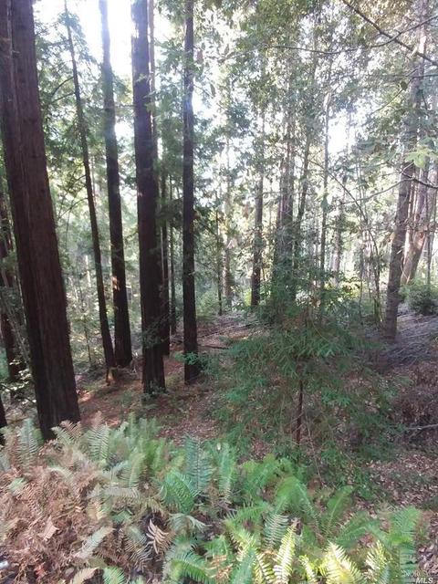 38400 Friendly Ave, Gualala, CA 95445 photo 3