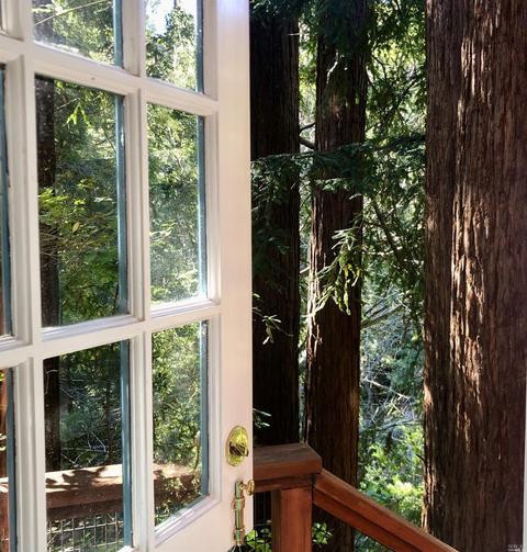 50 Quarry Rd, Mill Valley, CA 94941 photo 13