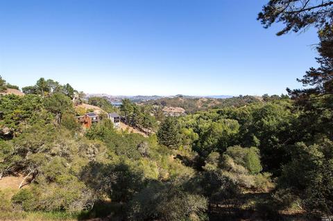 418 Durant Way, Mill Valley, CA 94941 photo 1