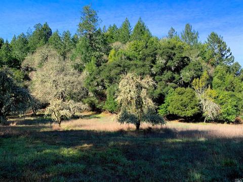 3794 Bones Rd, Sebastopol, CA 95472 photo 7