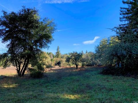 3794 Bones Rd, Sebastopol, CA 95472 photo 4