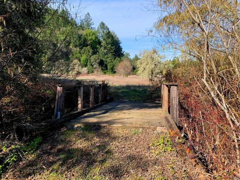 3794 Bones Rd, Sebastopol, CA 95472 photo 9