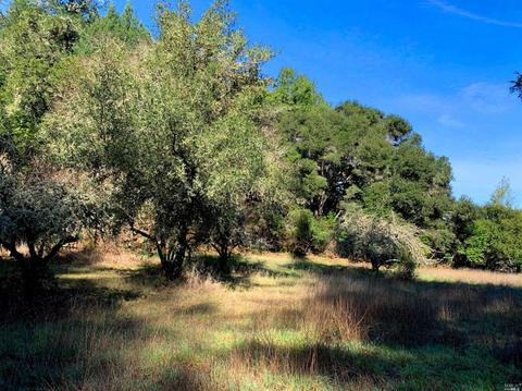 3794 Bones Rd, Sebastopol, CA 95472 photo 5