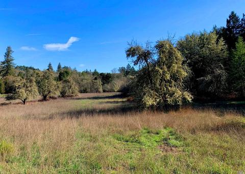 3794 Bones Rd, Sebastopol, CA 95472 photo 2