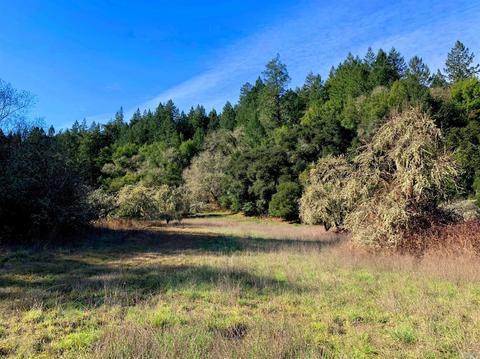 3794 Bones Rd, Sebastopol, CA 95472 photo 8