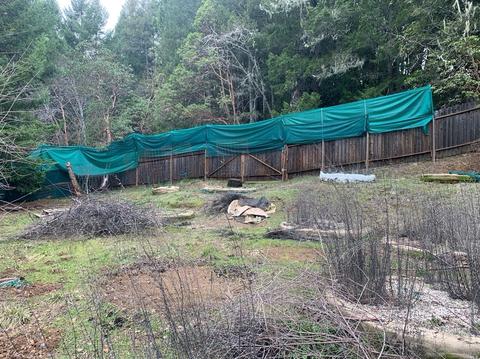 26007 Peacock Rd, Willits, CA 95490 photo 36