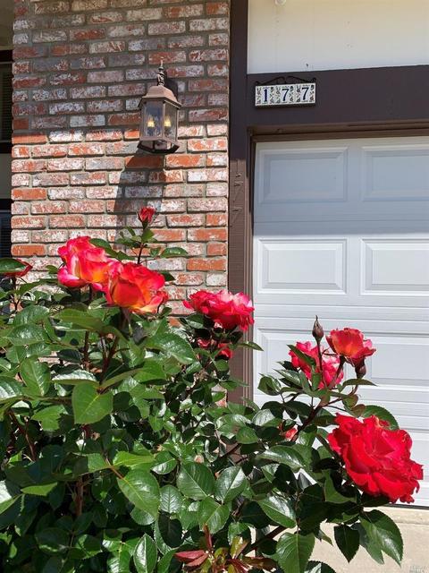 177 Eckmann Pl, Petaluma, CA 94952 photo 3