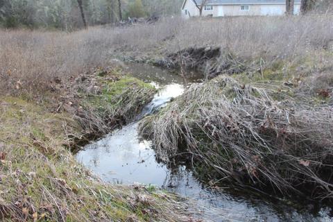 Undisclosed, Middletown, CA 95461 photo 21