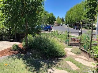 18 Billington Ln, Windsor, CA 95492 photo 43