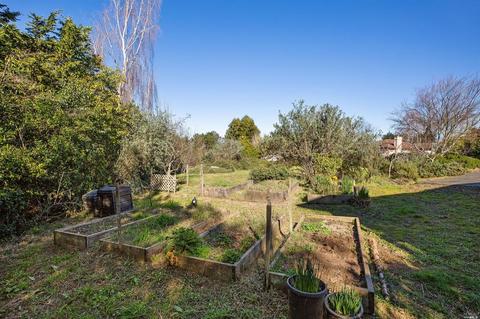 20 Everett Rd, Petaluma, CA 94952 photo 31