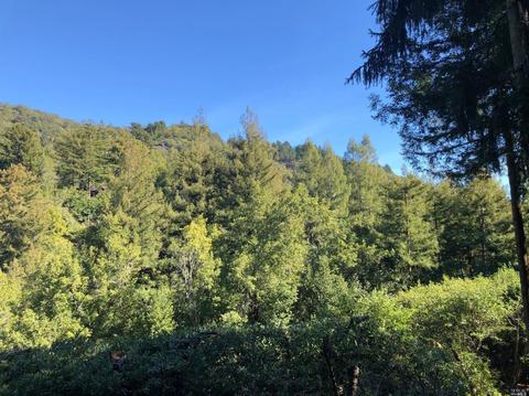 60 Rowan Way, Mill Valley, CA 94941 photo 9
