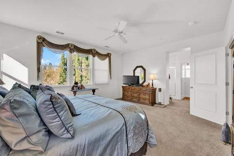 5 Windsor Ct, Napa, CA 94558 photo 28