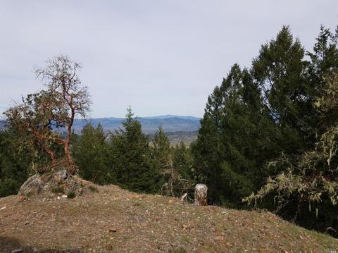17420 Shafer Ranch Rd, Willits, CA 95490 photo 31