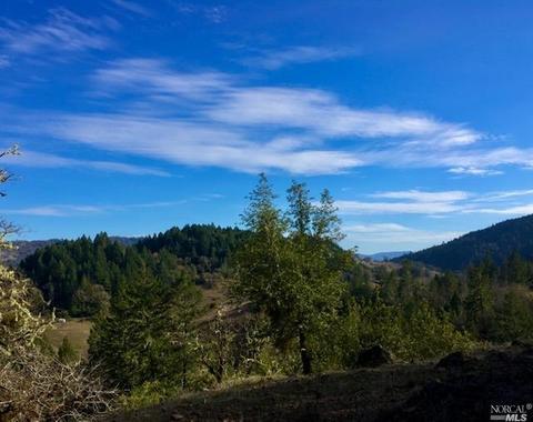 17420 Shafer Ranch Rd, Willits, CA 95490 photo 32