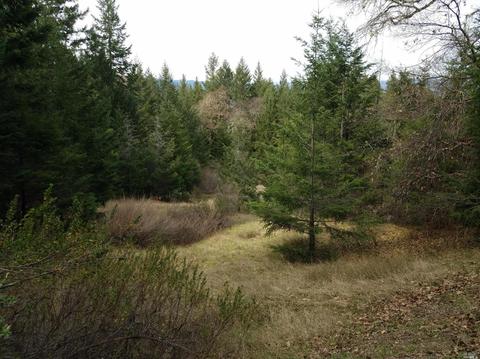 17420 Shafer Ranch Rd, Willits, CA 95490 photo 30