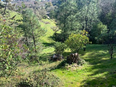 Undisclosed, Ukiah, CA 95482 photo 6