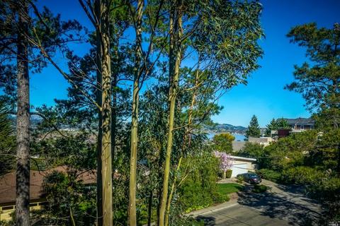 2 Endeavor Dr, Corte Madera, CA 94925 photo 5