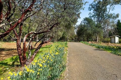 610 White Cottage Rd, Angwin, CA 94508 photo 1