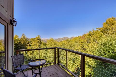 20 Meyer Rd, San Rafael, CA 94901 photo 46