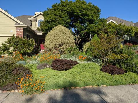 1071 Elsbree Ln, Windsor, CA 95492 photo 5