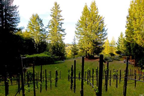 12450 Cloud Ridge Rd, Healdsburg, CA 95448 photo 4