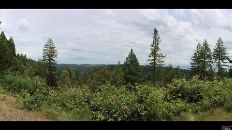12450 Cloud Ridge Rd, Healdsburg, CA 95448 photo 26
