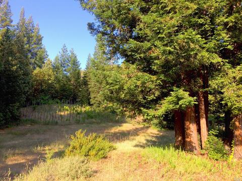 12450 Cloud Ridge Rd, Healdsburg, CA 95448 photo 8